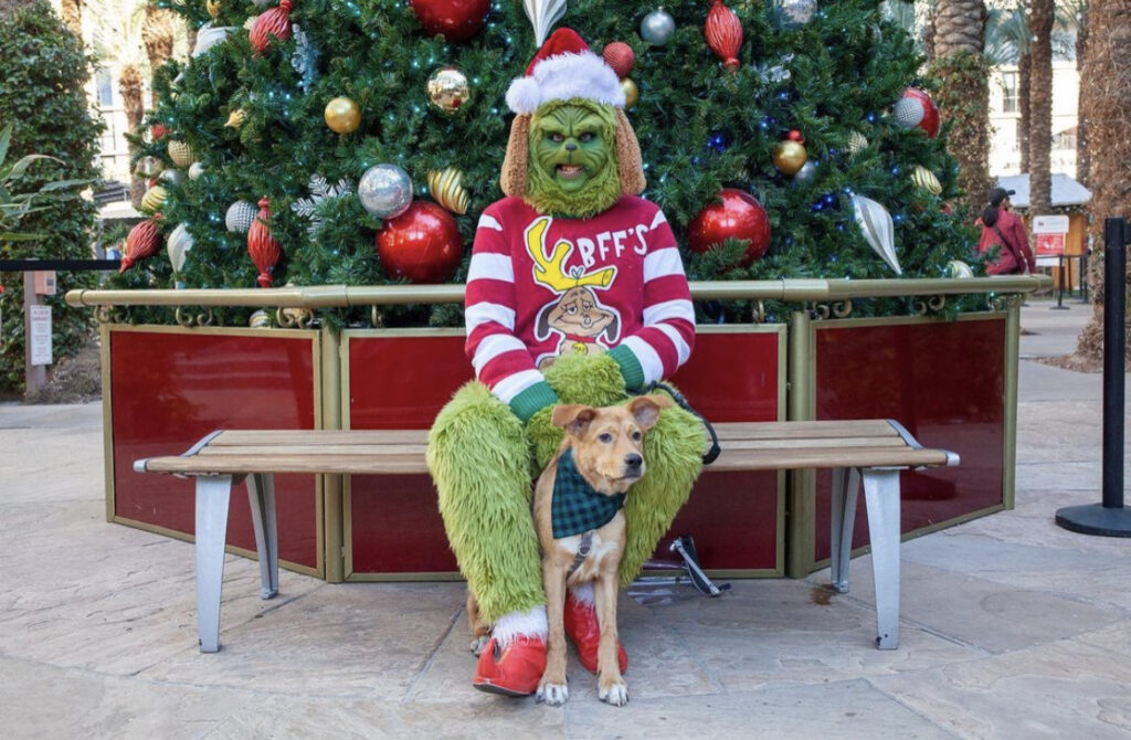 Grinch character posing in front of a Christmas tree with a dog