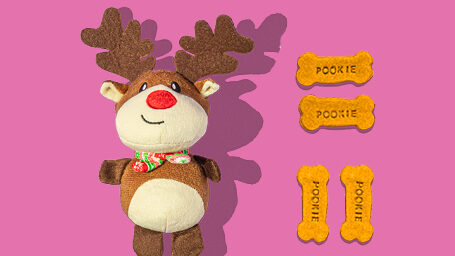 plush reindeer laying next to four dog treats on a oink background