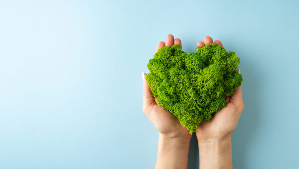 World earth day concept with hands holding green plant heart on blue background, flat lay, top view, banner