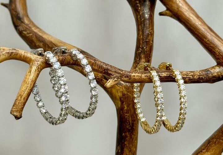 Hoop earrings hanging on a tree