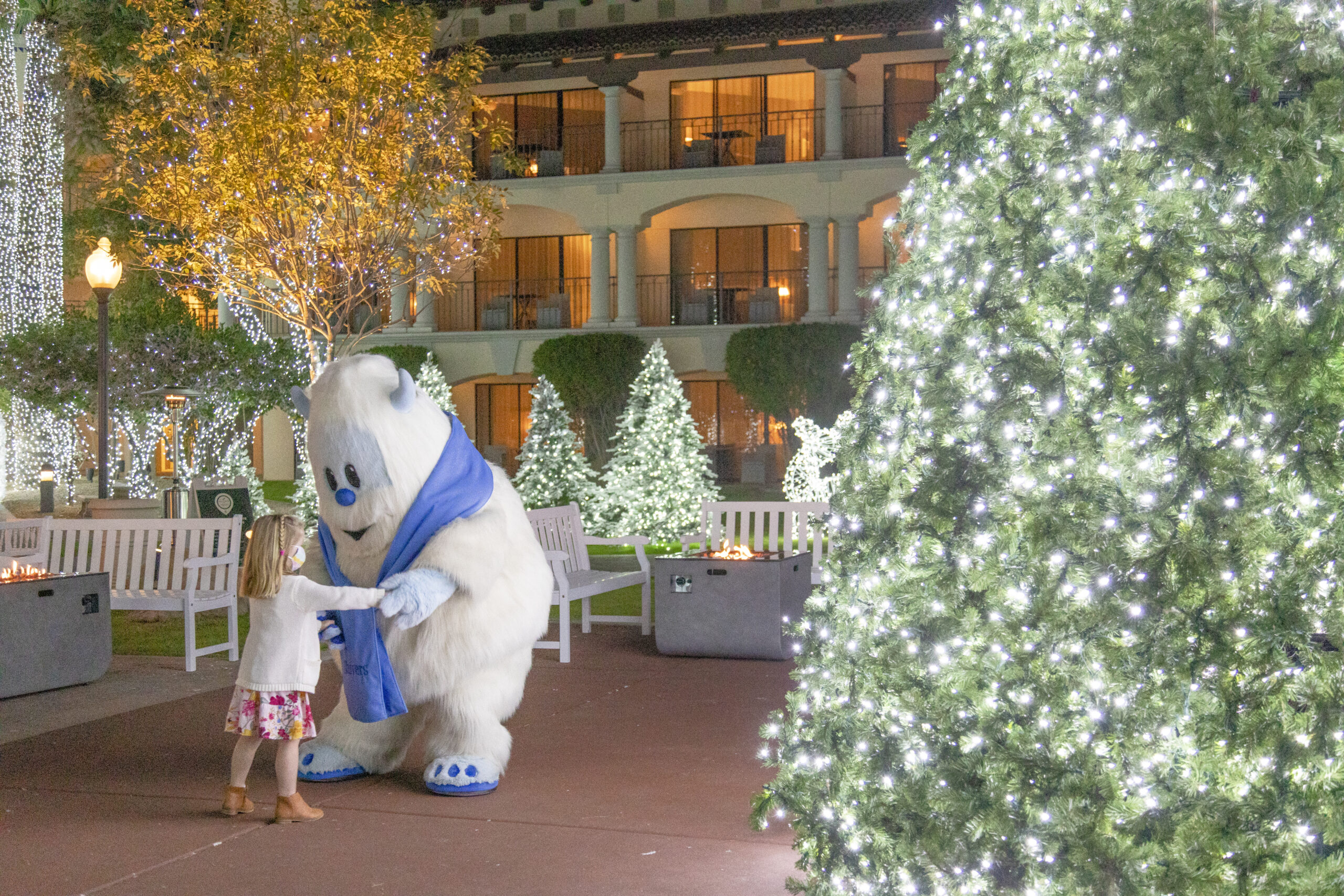 【新品アウトレット、送料込みに変更可】SANTACRUZ Pumpkin 5.4 楽天市場】SANTACRUZ サーフボード PUMPKIN LIMITED 5.4/5.6/5.8