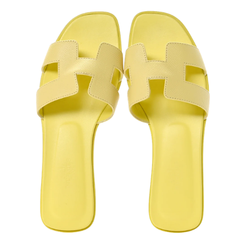 Your paragraph text - 2026-02-16T152823.157