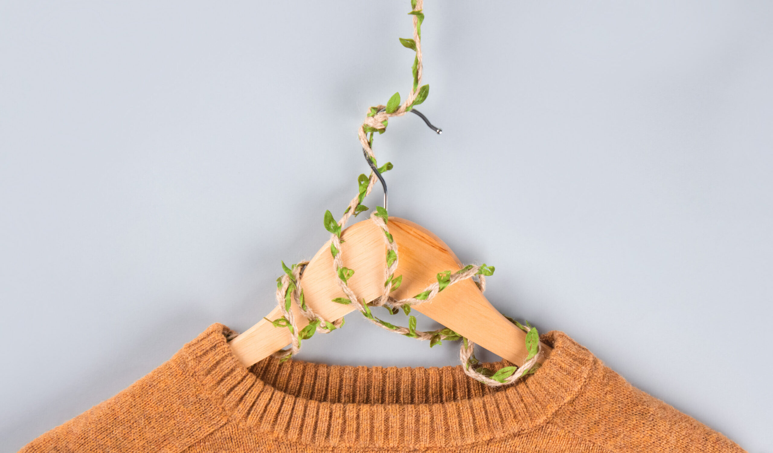 Orange sweater on hangers entwined with plants
