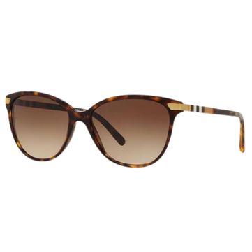 Your paragraph text - 2026-04-15T145418.372