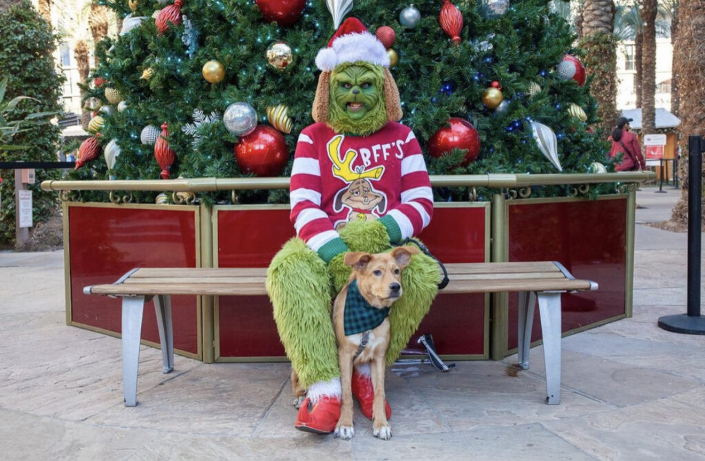 grinch holding a dog